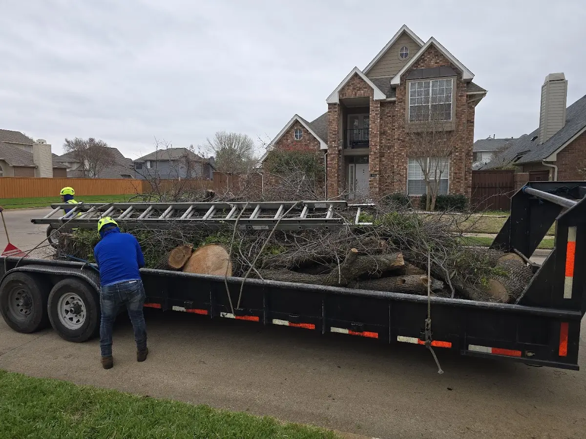 Expert Tree Fertilization with proper safety equipment in Nevada